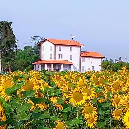 La Collinetta B&B Crespellano Esterno foto