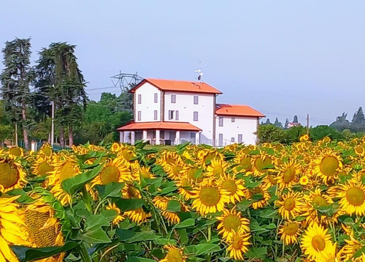 La Collinetta B&B Crespellano Esterno foto