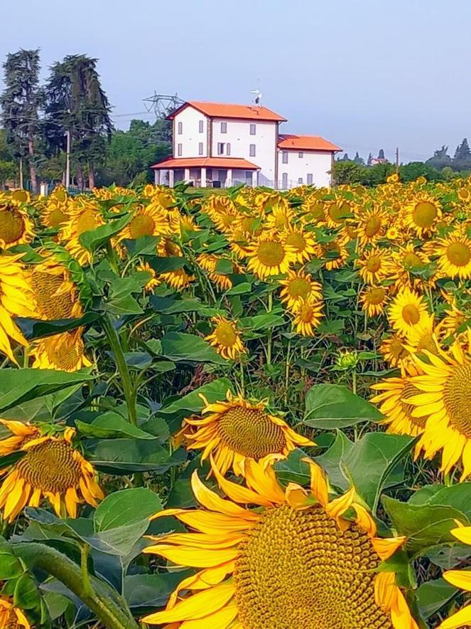 La Collinetta B&B Crespellano Esterno foto