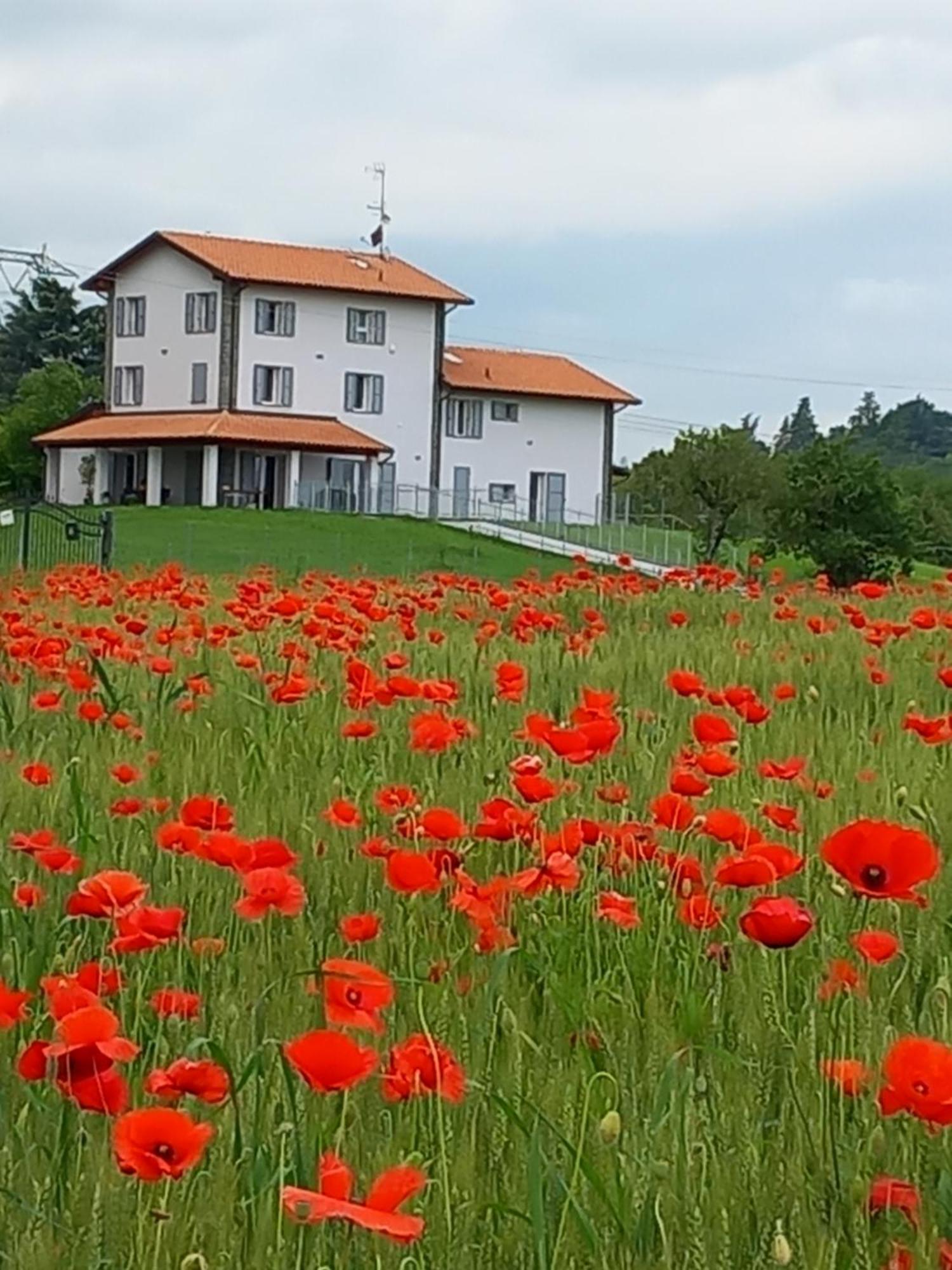 La Collinetta B&B Crespellano Esterno foto